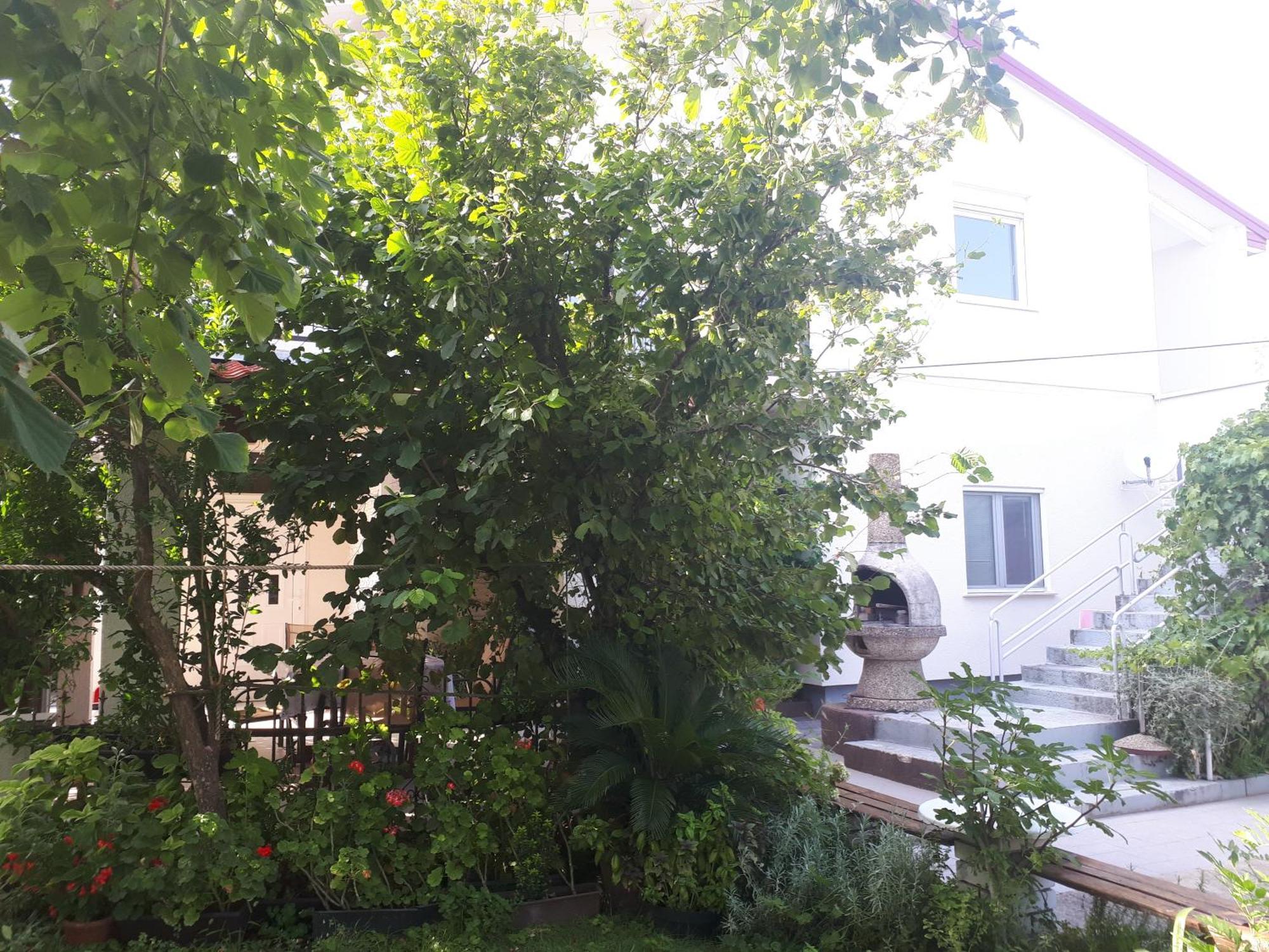 Apartmani Tinka Starigrad Paklenica Exterior foto